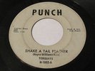 The Torquays  Shake A Tail Feather/Temptation 45 SURF Garage 1965 Detroit, MI