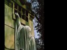 Dead Can Dance - Within the Realm of A Dying Sun vinyl LP / RARE Lisa Gerrard