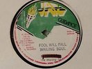 The Wailing Soul- Fool Will Fall Killer Roots /Reggae 12