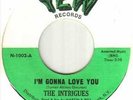 Northern Soul / Crossover - The Intrigues * Im Gonna Love You * YEW 45