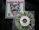 Slaughter and the Dogs, punk oi skinhead, Clash Damned Sex Pistols