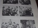 MEXICO GARAGE ROCK Rockabilly Psych Surf Punk Funk Soul 1960-1970 VINYL CATALOG