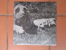 pink floyd live the best of tour 72 LP 12
