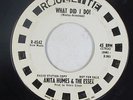Northern Soul 45 - Anita Humes & The Essex - What Did I Do? - Roulette - mp3