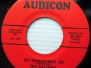 THE PASSIONS Just to Be With You / Oh Melancholy Me AUDICON 45 Doowop mg603