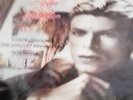 David Bowie (Vinyl LP) Narrates Prokofievs Peter And The Wolf