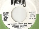 THE FLOWER SHOPPE Youve Come A Long Way Baby SPRING PROMO  NORTHERN SOUL 45