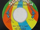 Northern Soul 45 - Malibus - Ten Times A Day - Sure-Shot - mp3