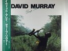 David Murray 