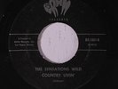 SENSATIONS WILD: Love Somebody, Love Someone / Country Livin' 45 rare Soul