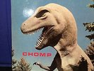Pylon lp - Chomp