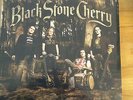 Black Stone Cherry Folklore and Superstition Very rare European only 2LP Vinyl