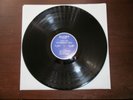 LED ZEPPELIN Live On Blueberry Hill 2 LP BLIMP RECORDS ORIG NOT TMOQ EXCELLENT