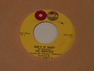 THE MIRACLES  Ain't It Baby  45  Tamla   Soul