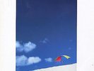 On The Beach Chris Rea UK vinyl LP album record MAGL5069 MAGNET 1986
