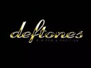 THE DEFTONES RSD VINYL LP B-SIDES & RARITIES GOLD VINYL DOUBLE LP LTD EDITION