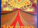 SAVOY BROWN - Raw Sienna - Original US VINYL LP 1970