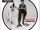 David Bowie - Diamond Dogs    - [Picture Vinyl-Single] NEU