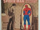 SPIDER-MAN LP ROCK REFLECTIONS OF A SUPERHERO (1975) LIFESONG With STAN LEE (VG)