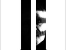 Lost Themes Ii - John Carpenter (2016, Vinyl New)