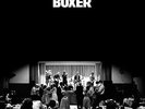 The National // Boxer // Brand New Record LP Vinyl
