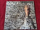 Siouxsie and the Banshees   JuJu   1981 Vinyl LP & Lyric Inner EX/EX   Free P&P