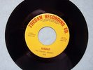 1967 CHICAGO GARAGE PUNK THE TRAVEL AGENCY JAILBAIT HARD TIMES