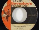 Beverley's All Stars/Maytals 