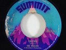 Wailers 