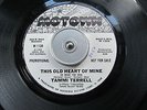 Funk / Soul 45 TAMMI TERRELL 