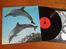 LP ORANGE JUICE YOU CAN'T HIDE YOUR LOVE FOREVER EDWYN COLLINS 1982  NM