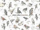 Edwyn Collins - Losing Sleep - VINYL