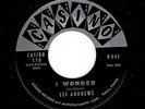R & B VOCAL GROUP-LEE ANDREWS-CASINO 542-I WONDER/BABY COME BACK
