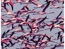 Deftones - Gore (2LP White Vinyl)