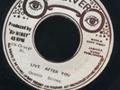 1696 DENNIS BROWN-LIVE AFTER YOU-OBSERVER-OG JA NR MINT-REGGAE 45 7