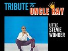 Stevie Little Wonder - Tribute to Uncle Ray