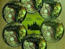PATHOLOGIST - Grinding Opus of Forensic Medical Problems /PD/ Carcass