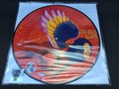 David Bowie,The Man Who Sold The World,Picture Disc Album, Record Store Day 2016