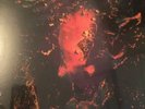 Foals Rain / Daffodils 2016 Rsd 7