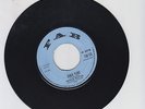F A B/ GANJA PLANT  -  PRINCE BUSTER (70 SKINHEAD REGGAE  7