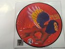 DAVID BOWIE - The Man Who Sold The World - LP  RSD 2016 PICTURE DISC