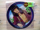 BILL WYMAN ROLLING STONES PICTURE DISC MONKEY GRIP RSD 2016 RECORD STORE DAY LP
