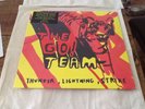 The Go Team Thunder Lightning Strike LP RSD 2016
