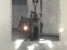 Patti Smith Live Electric Lady Studios LP RSD 2016