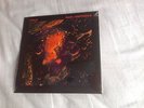 FOALS Rain / Daffodils NEW LTD 7
