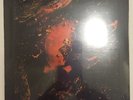 RSD 2016 - Foals - Rain / Daffodils 7