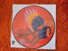David Bowie Picture disc The man who sold the world Disquaire day Record store