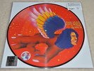 David Bowie The Man Who Sold The World Picture Disc LP Album RSD 2016 New Sealed