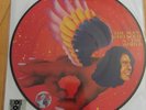 David Bowie The Man Who Sold The World RSD Record Store Day 2016 Picture Vinyl