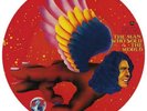 RSD 2016 David Bowie ' The Man Who Sold The World' Picture Disc